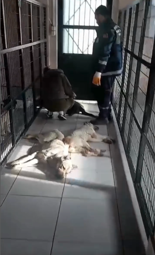 CHP Osmangazi Belediye Başkanı Erkan Aydın Allahtan Kork, kuldan UTAN!