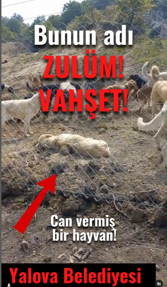 Sn. Bakan Ali Yerlikaya
FIRSATÇI Belediyelerin Kanunu Eğip Bükmesine KİM DUR! diyecek?
