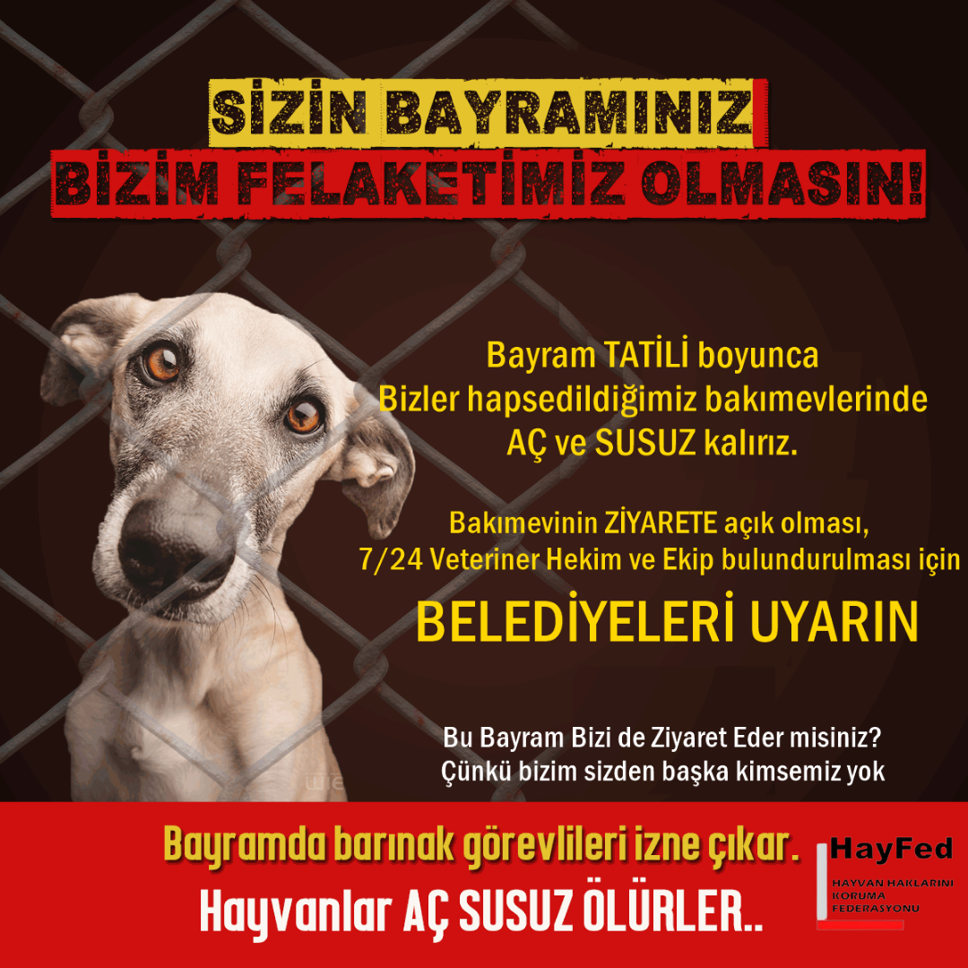 Sevgili HAYVANSEVERLER, Bayramda bakımevlerinde 7/24 Veteriner Hekim ve ekip bulunması, ziyarete açık olması hususunda belediyelerden EKLİ DİLEKÇE ile bilgi isteyin, uyarın.