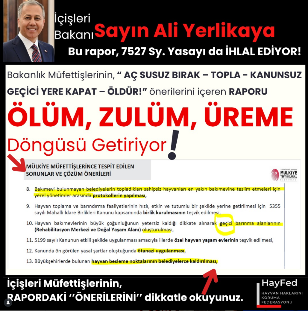 İçişleri Müfettişlerinin 2. Denetim Raporunda Bakın Neler Öneriyorlar!?.. “AÇ SUSUZ BIRAK – TOPLA- KANUNSUZ GEÇİCİ YERE KAPAT – ÖLDÜR” içeren önerileri madde madde dikkatle okuyalım..
