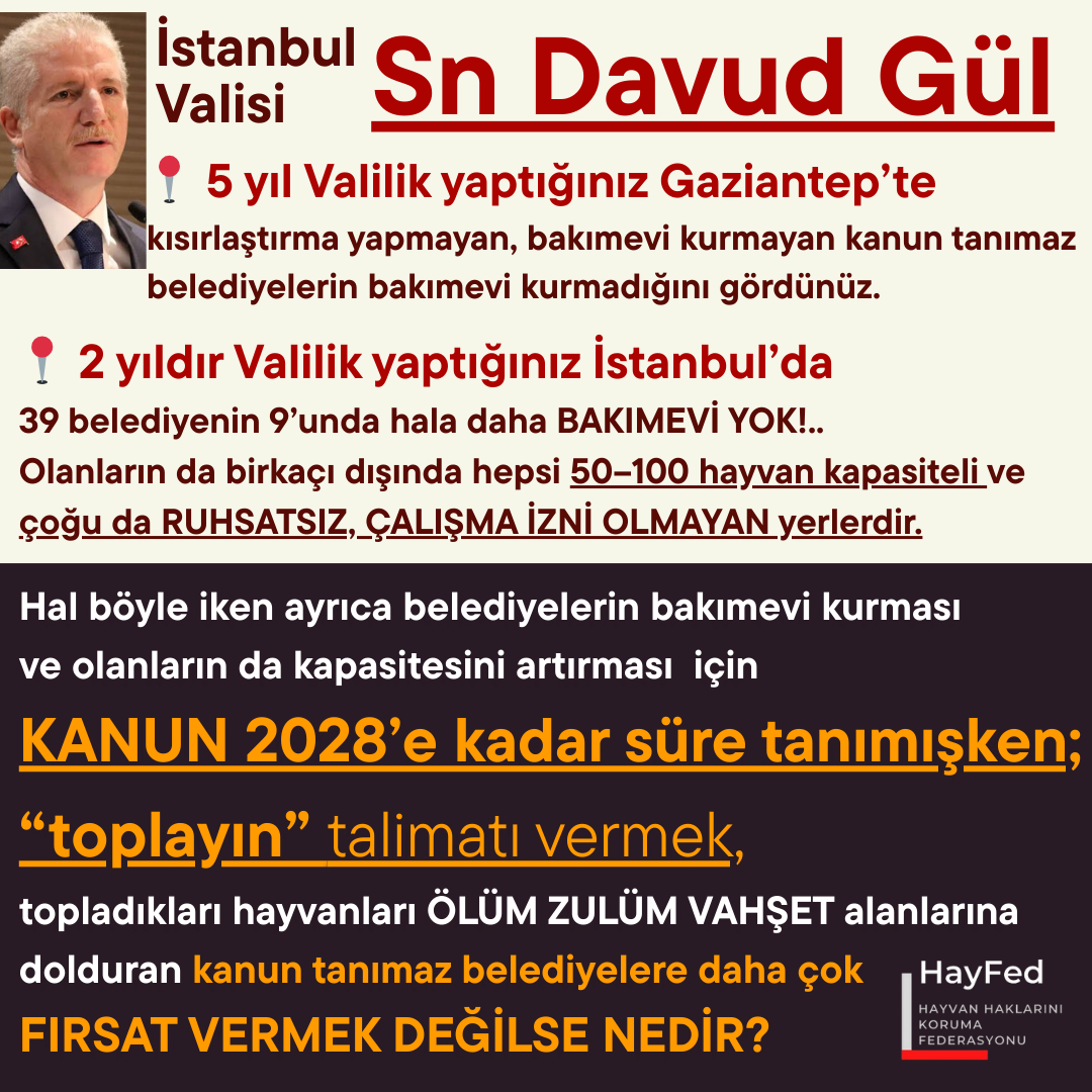 İstanbul Valisi Sn Davut Gül! KANUN, belediyelere bakımevi kurmak, bakımevi olanların koşullarını iyileştirmesi için 2028’e kadar süre tanımışken; bakımevi ve kapasitesi olmayan tüm belediyelere “toplayın” talimatı vermek, kanun tanımaz belediyelerin hayvanları ÖLÜM ZULÜM VAHŞET alanlarına doldurmasına daha çok FIRSAT VERMEK DEĞİLSE NEDİR?