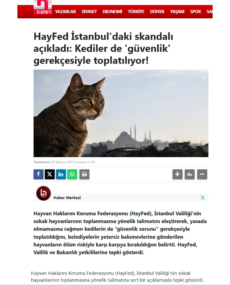 SIRA KEDİLERE GELDİ!