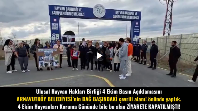 Ulusal Hayvan Hakları Birliği / 4 Ekim Basın Açıklamamızı, Arnavutköy Belediyesi’nin dağ başındaki çevrili alanı önünde yaptık. KATLİAMIN VE MATEMİN GÜNÜ! KARA 4 EKİM’İ LANETLİYORUZ!