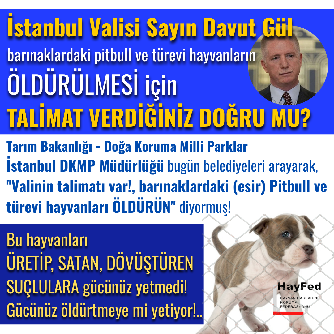 İstanbul Valisi Sayın Davut Gül,
barınaklardaki pitbull ve türevi hayvanların ÖLDÜRÜLMESİ için TALİMAT VERDİĞİNİZ DOĞRU MU?