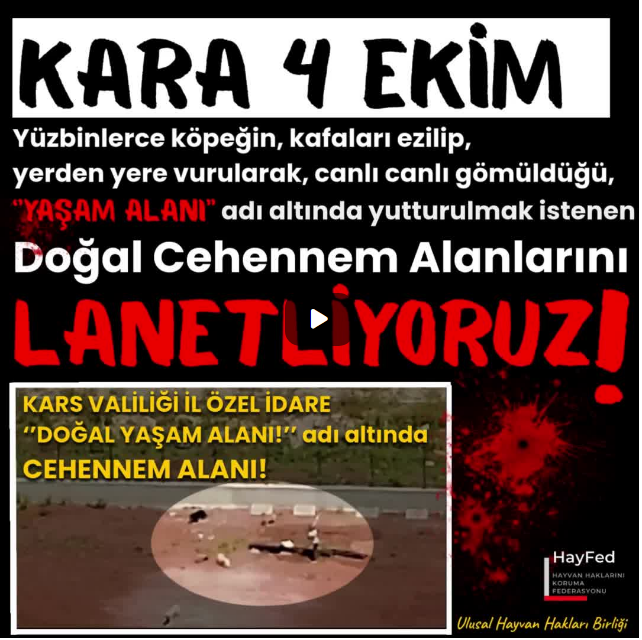 #Kara4Ekim
Yüzbinlerce köpeğin, kafaları ezilip, yerden yere vurularak, canlı canlı gömüldüğü, ''YAŞAM ALANI'' adı altında yutturulmak istenen Doğal CEHENNEM Alanlarını LANETLİYORUZ!