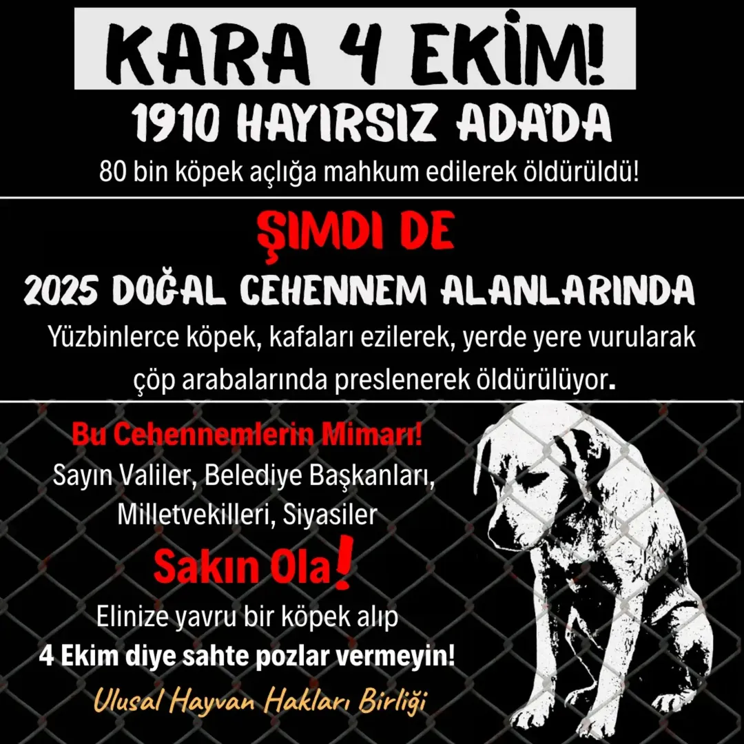 KARA 4 EKİM! 1910 HAYIRSIZ ADA’da 80 bin köpek açlığa mahkum edilerek öldürüldü!ŞİMDİ de 2025 DOĞAL CEHENNEM ALANLARINDA yüzbinlerce köpek, kafaları ezilerek, yerden yere vurularak çöp arabalarında preslenerek öldürülüyor.