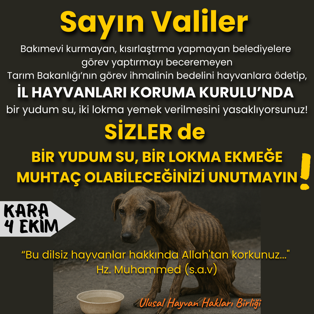 Sayın Valiler, İL HAYVANLARI KORUMA KURULU’NDA bir yudum su, iki lokma yemek verilmesini yasaklıyorsunuz! SİZLER de BİR YUDUM SU, BİR LOKMA EKMEĞE MUHTAÇ OLABİLECEĞİNİZİ UNUTMAYIN!