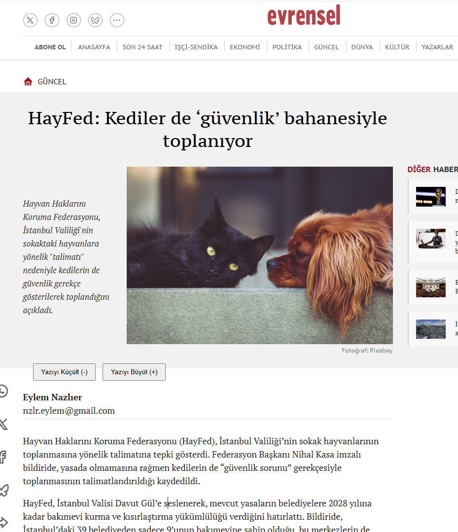 HayFed: Kediler de ‘güvenlik’ bahanesiyle toplanıyor