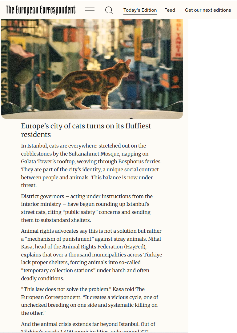 Brüksel merkezli uluslararası basın kuruluşu The European Correspondent’a verdiğimiz röportaj