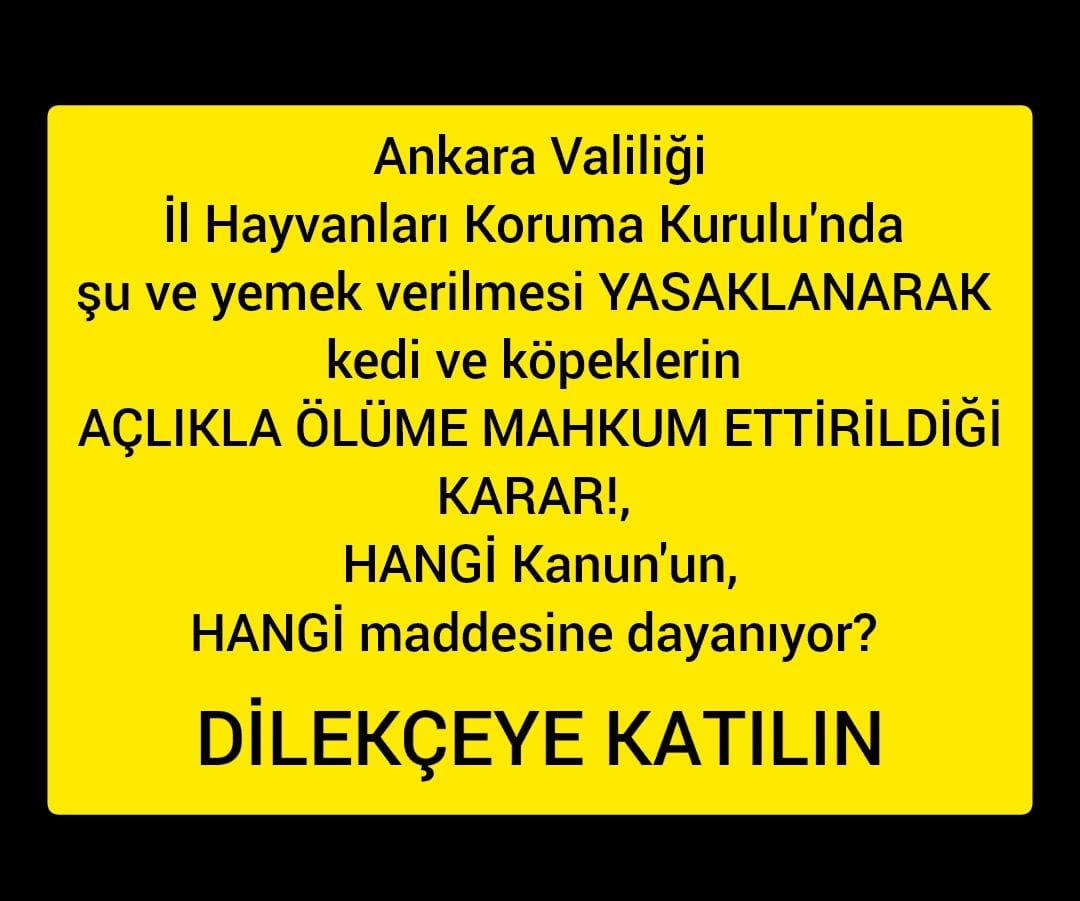 Ankara Valiliği'ne SORUYORUZ. İl Hayvanları Koruma Kurulu'nda su ve yemek verilmesi YASAKLANARAK, yasaya aykırı kedi ve köpeklerin AÇLIKLA ÖLÜME MAHKUM ETTİRİLDİĞİ KARAR!, HANGİ KANUN'un , HANGİ MADDESİNE dayanıyor?