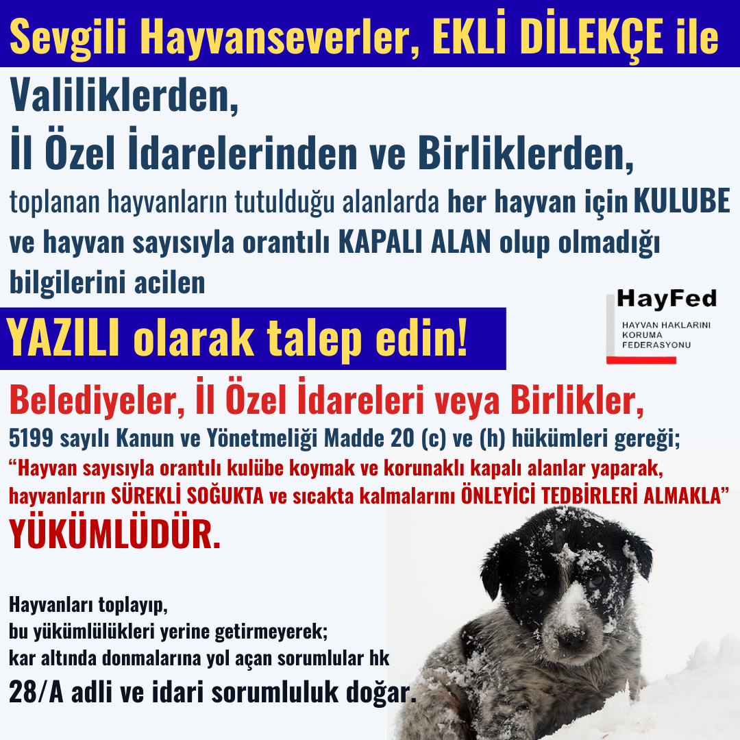 Valiliklerden, İl Özel İdarelerinden ve bunların oluşturduğu Birliklerden; toplanan hayvanların tutulduğu alanlarda her hayvan için KULÜBE ve hayvan sayısıyla orantılı KAPALI BARINMA ALANI bulunup bulunmadığına ilişkin bilgileri EKLİ DİLEKÇEYLE ACİLEN ve YAZILI olarak TALEP EDİN.