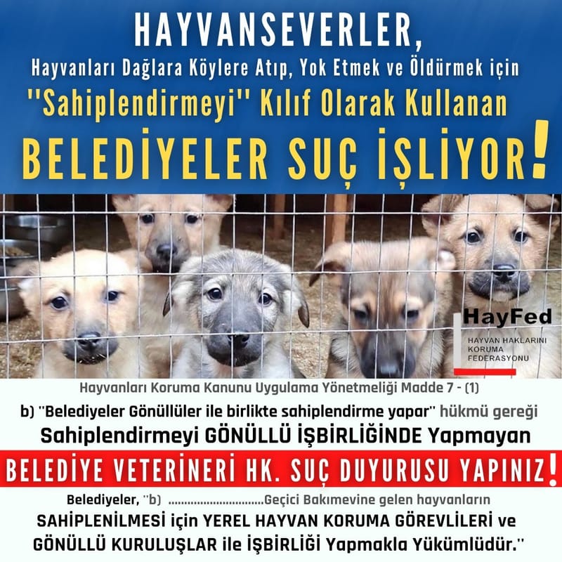 3-Belediye barınaklarında SAHİPLENDİRME adı altında hayvanların yok edilmesini ÖNLEMEK İÇİN OKUYUNUZ