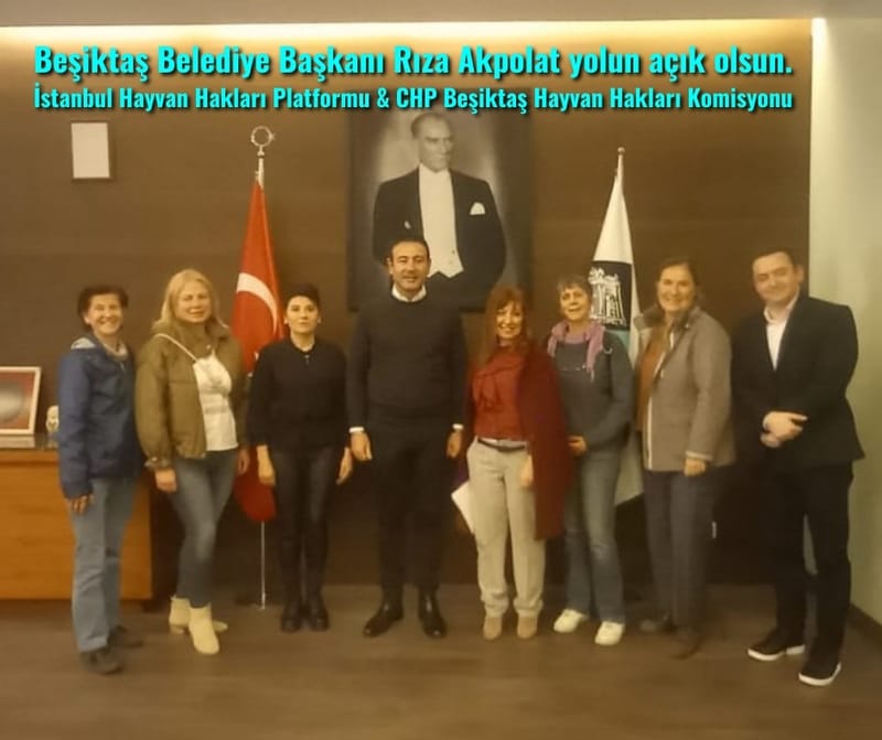 ’Oylarımız Hayvanlar için ‘’ kampanyası kapsamında Beşiktaş Belediyesi Başkanı Sn Rıza Akpolat ’ı ziyaret ettik.