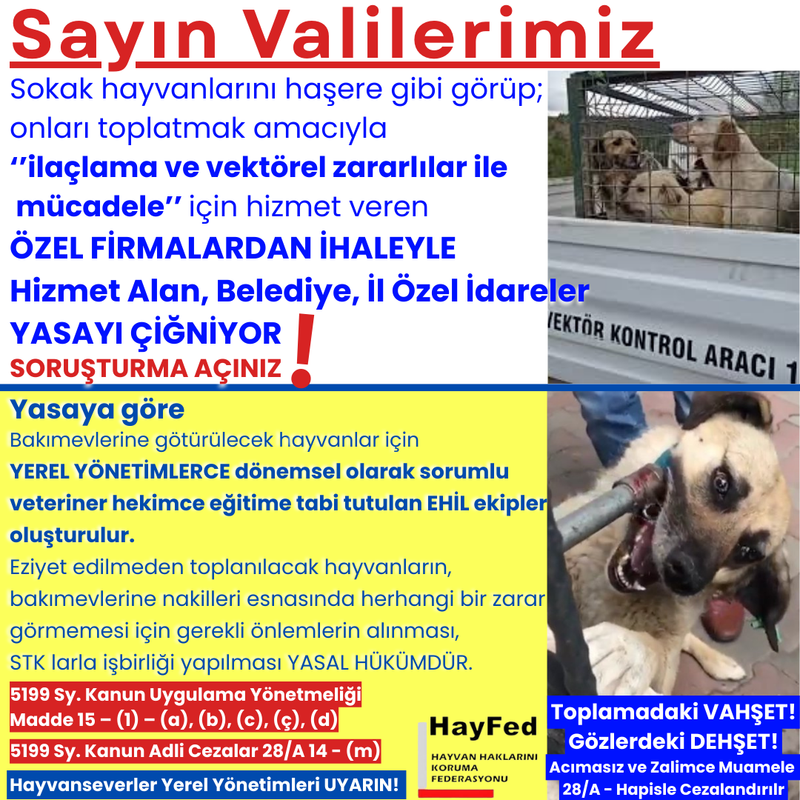 Sokak hayvanlarını haşere gibi görüp; onları toplatmak amacıyla ‘’ilaçlama ve vektörel zararlılar ile mücadele’’ için hizmet veren ÖZEL FİRMALARDAN İHALEYLE Hizmet Alan, Belediye, İl Özel İdareler, Birlikler YASAYI ÇİĞNİYOR!.. EKLİ DİLEKÇE ile VALİLİKTEN SORUŞTURMA TALEP EDİN.