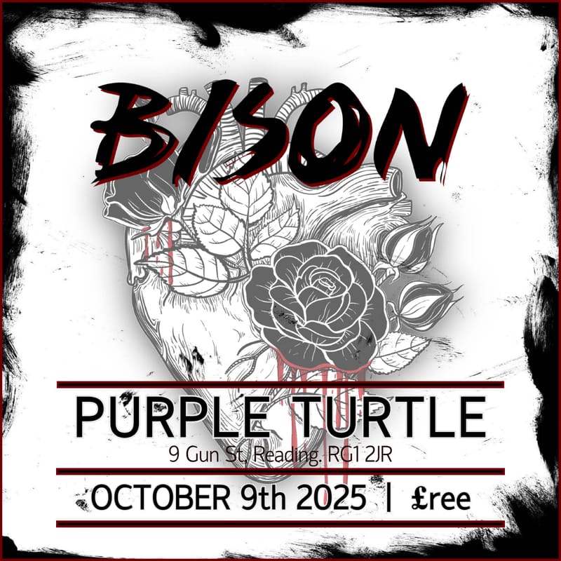 The Purple Turtle - Reading