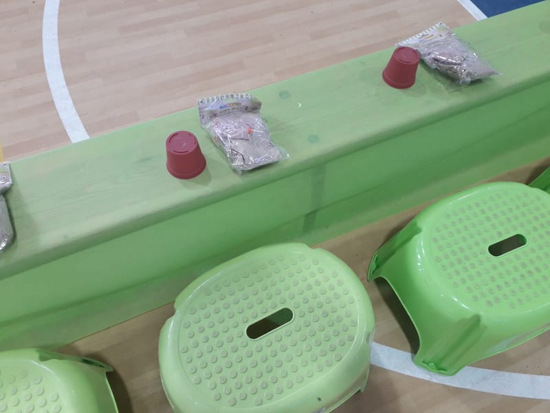 הכנת ראש דשא ושתילת שתילים