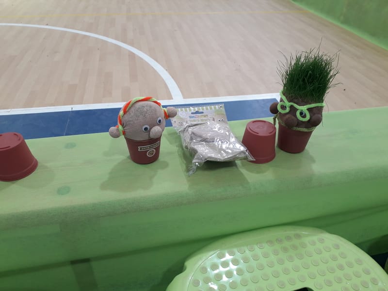 הכנת ראש דשא ושתילת שתילים