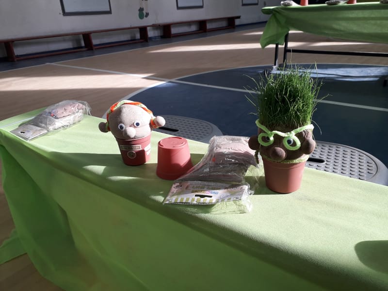 הכנת ראש דשא ושתילת שתילים