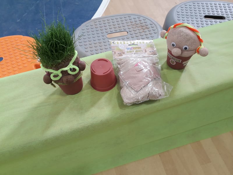 הכנת ראש דשא ושתילת שתילים