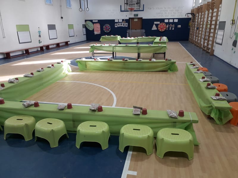 הכנת ראש דשא ושתילת שתילים