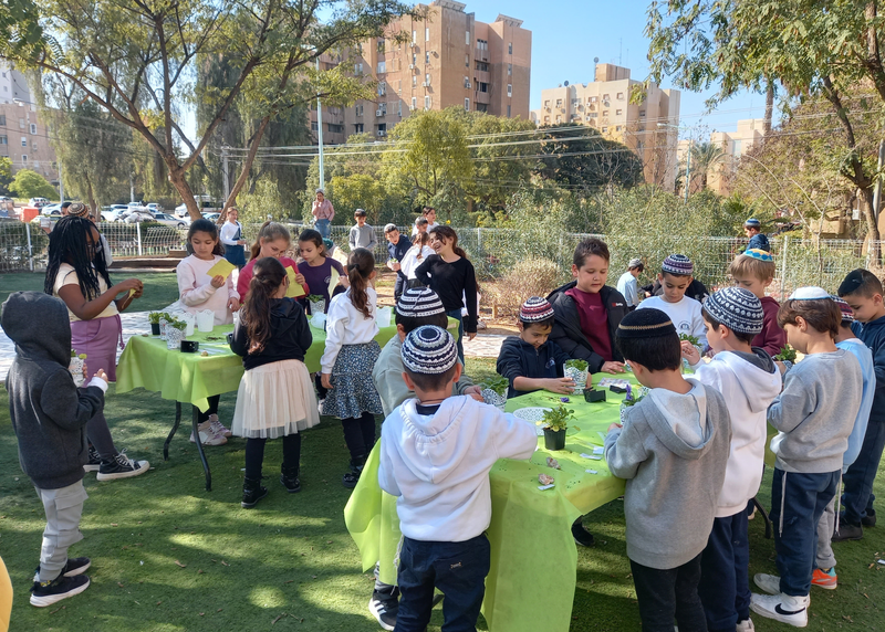 הכנת ראש דשא ושתילת שתילים
