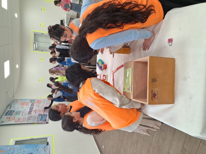 קופסאות בריחה, עיצוב תיק ספר וחידון שלטים