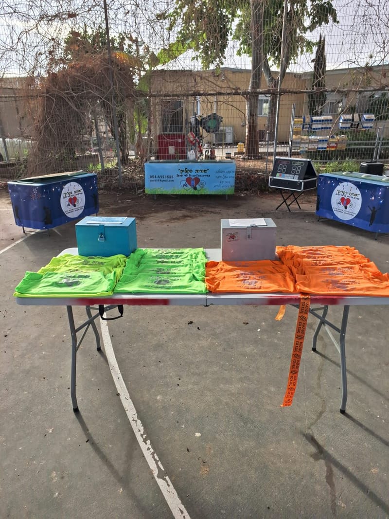 הפנינג מתנפחים לפורים