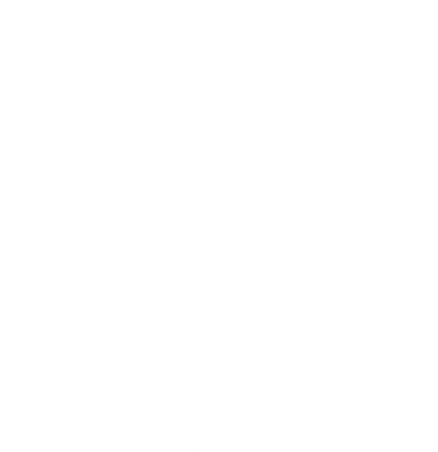 Blue Phoenix - Dream Freely