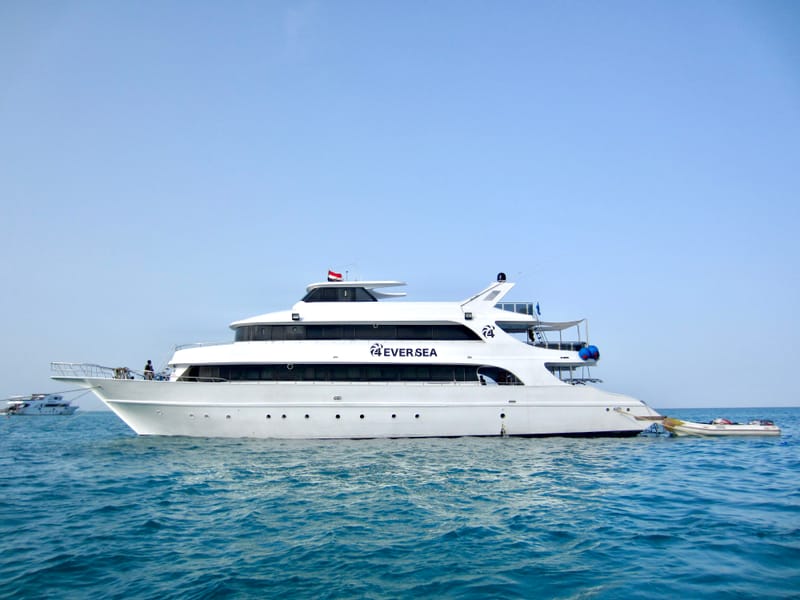 MY 4Ever Sea