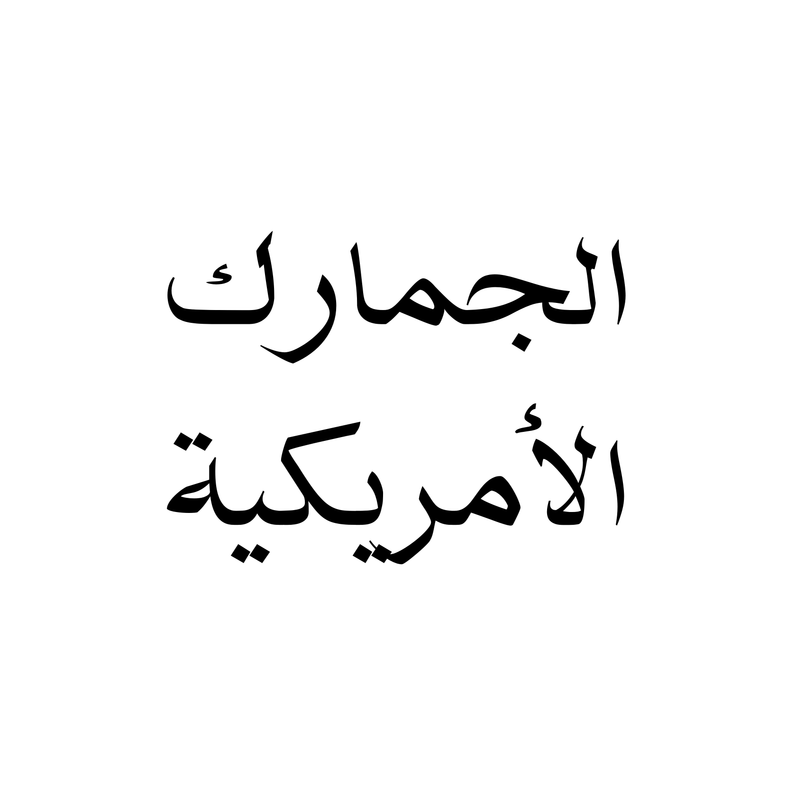 الجمارك الأمريكية