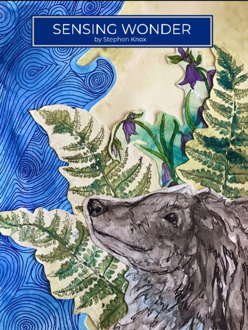 SENSING WONDER BOOK LAUNCH