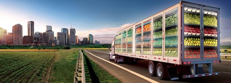 Agricultural Logistics and Supply Chain Management