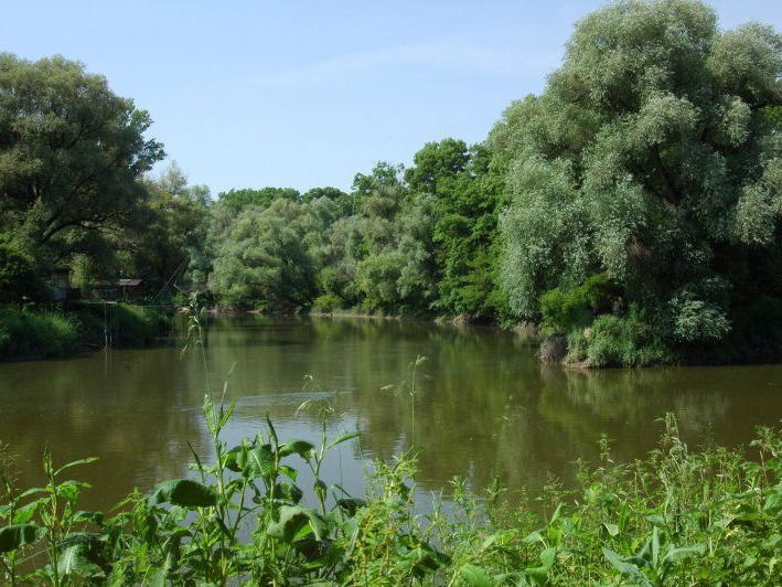 Am Zusammenfluss von March und Thaya entsteht ein besonderes Landschaftsschutzgebiet