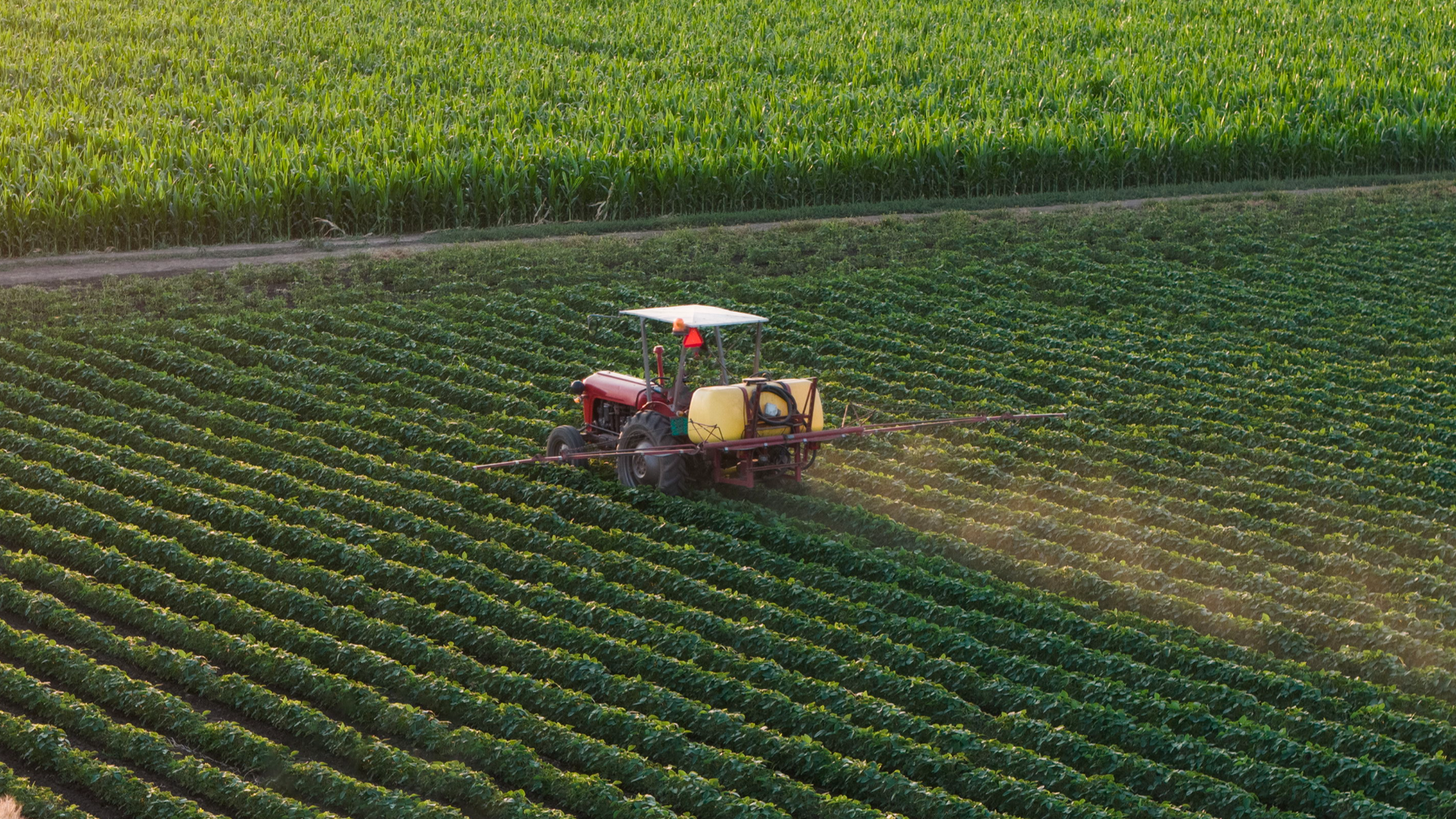 Tschechische Landwirte haben Gewinne gegenüber 2014 verdoppelt