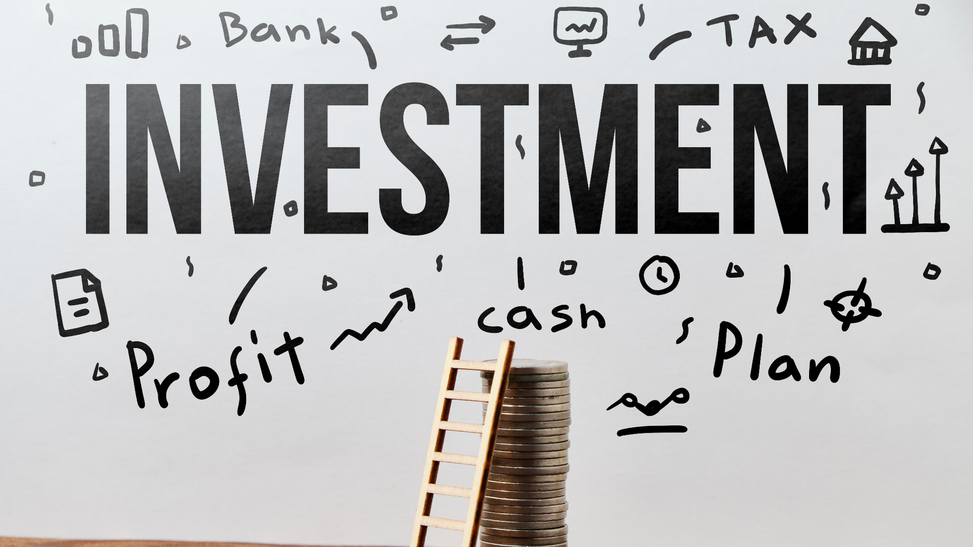 Tschechien: Vom hässlichen Entlein zum "Investitionsräuber"