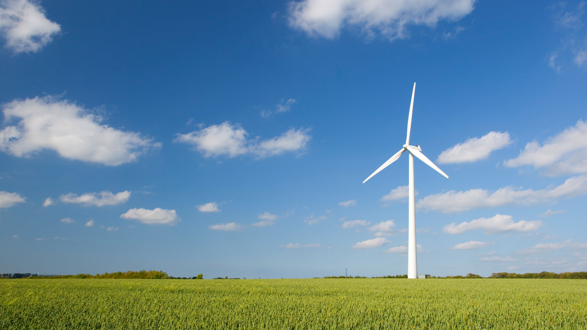 Regierung erschwert die Errichtung von Wind- und Solarkraftanlagen