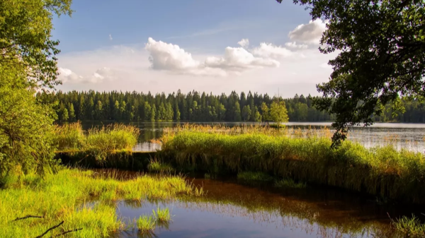 Energie aus der Natur - Region Karlsbad