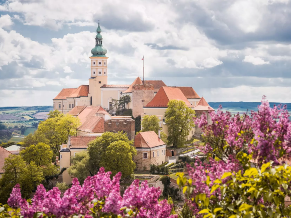 Mährische Grenzstadt Nikolsburg (Mikulov) wird für einen Tag "japanisch"
