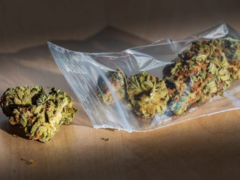 Strafgesetznovelle: Bis zu 100g Cannabis werden in Tschechien straffrei sein