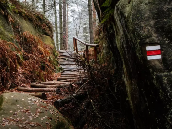 Wandern zwischen Bayern und Böhmen: Der Goldene Steig