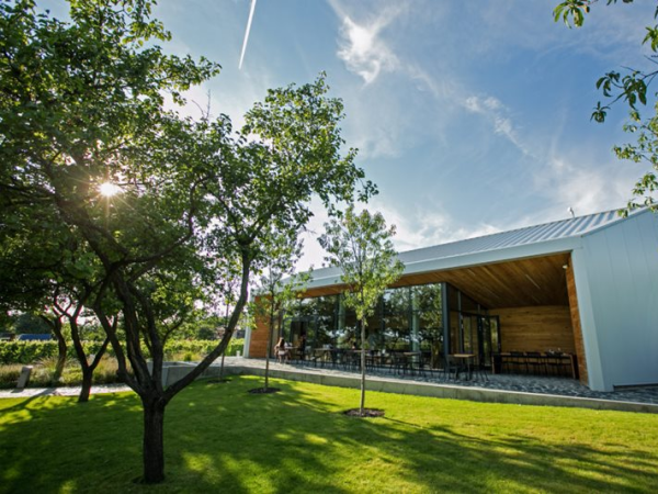 Der Reiz der Weinarchitektur