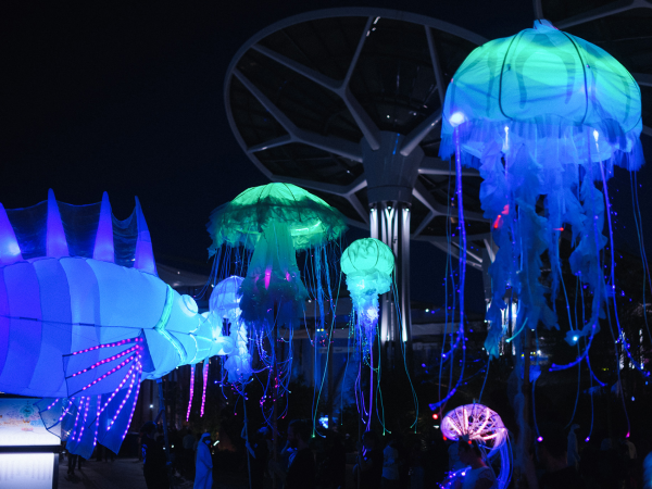 Přechody 2026: Kulturfestival in Gmünd und České Velenice