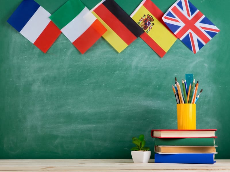 Bildungsorganisationen kritisieren geplante Reform im Fremdsprachenunterricht