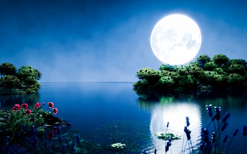 Full Moon in Pisces