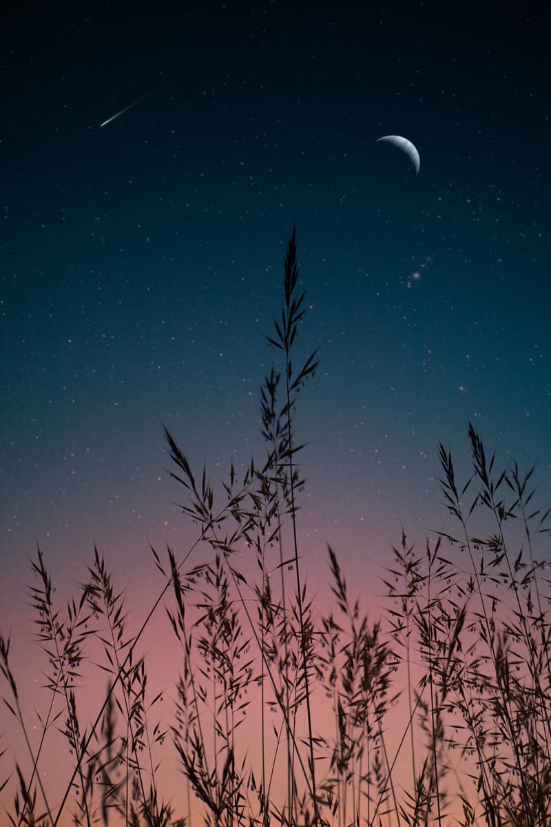 🌑 New Moon in Virgo