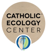 Volunteer Marketing Consultant