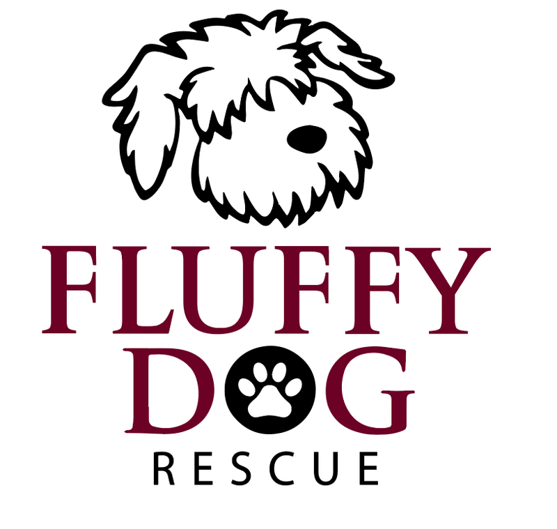 Foster Home Volunteer