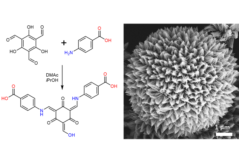 2024: Hierarchical Organic Microspheres from Diverse Molecular Building Blocks