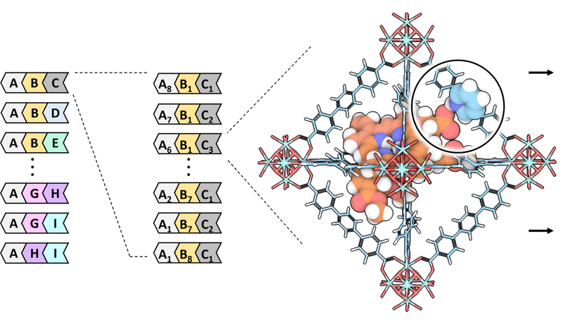2025: Design and Combinatorial Synthesis of Biomimetic Multivariate Metal–Organic Frameworks for Efficient Drug Loading