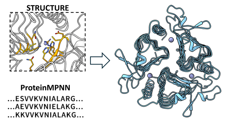 2025: Designing γ-Carbonic Anhydrase as a Broad-Scope Metalloreductase with Ultrathermostability and Organic-Solvent Tolerance